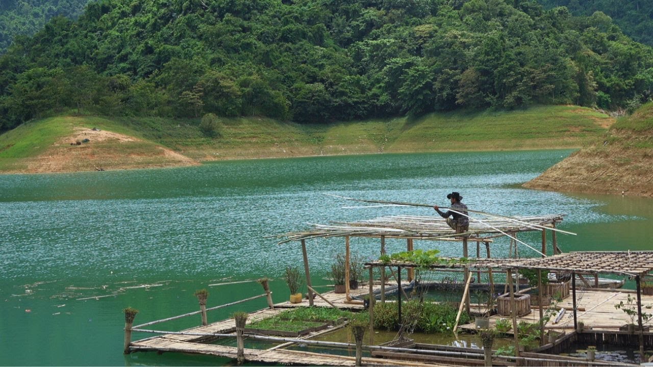 Rebuilding a gourd trellis after a major storm. Living alone on a bushcaft farm in the wild.