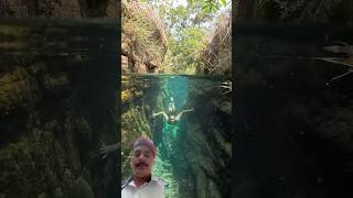 Butifull #natural #swimming pool 🏊 #junglelife