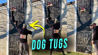 Dog Runs up the Wall Soon as Guy Gives the Signal Then Tugs