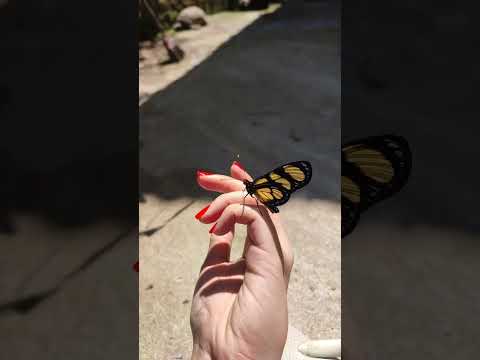 ٢٩ أغسطس ٢٠٢٤