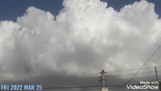 Nibiru 2022-03-25