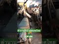 จอดนาน สตาร์ทีเดียวติด LN106