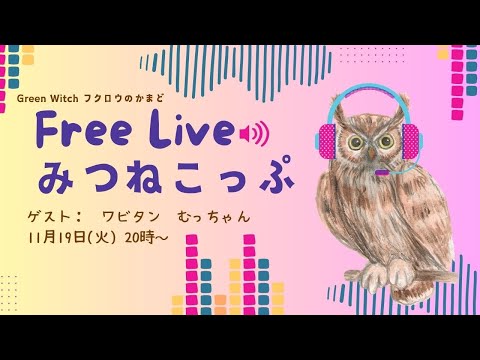 みつねこっぷ Free LIVE🦉11月19日 20時～📺ゲスト：ワビタン