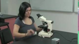 Use of the Compound Microscope