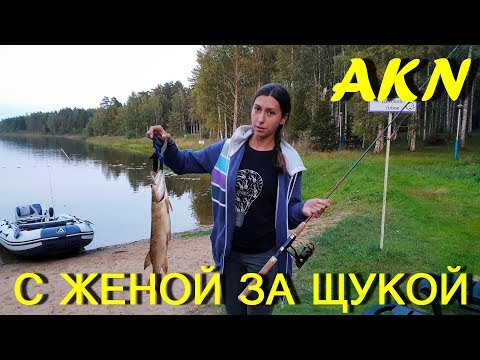 С женой за щукой! Азимут 365 и Ямаха 9.9!