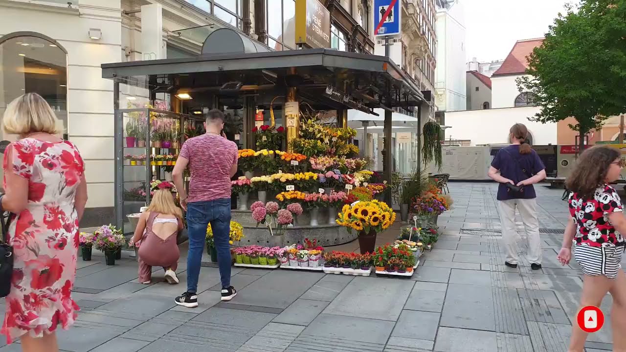 Walking In Vienna Austria 2021 | Austria Tour