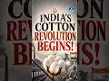 India’s Cotton Revolution Begins! | Cotton Productivity Mission Explained | UPSC | NEXT IAS