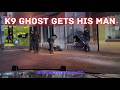 K9 GHOST bites subject who fled from Arkansas State Police - PIT MANEUVER ends pursuit #pit #chase