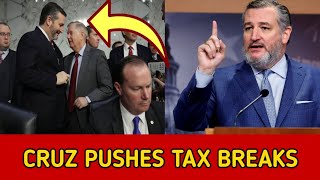 Ted Cruz Faces Backlash After Requesting Treasury Tax Breaks for the Wealthy