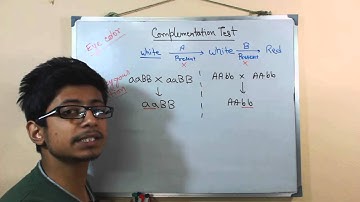 Complementation test