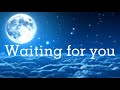 Trivecta &amp; Last Heroes (feat. RUNN) 〓Waiting For You【Lyrics】