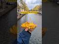 The famous Fries from Amsterdam #fablefries #fries #cheese #amsterdam #netherland