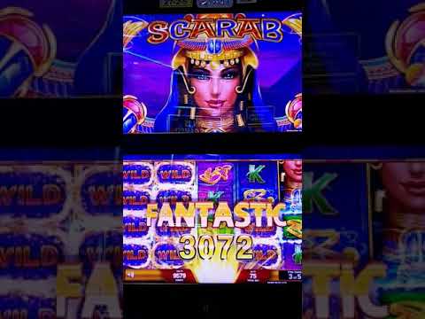Warrior Love-Ras Ever(Twin Lions Project I)