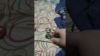 Did You Just You Eclipse Screamgaragemsa