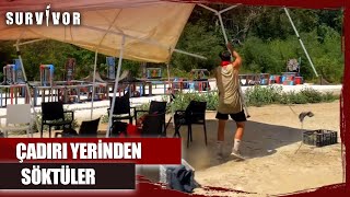 Ünlüler Oyun Sonrası Çılgına Döndü! | Survivor 2023 60. Bölüm