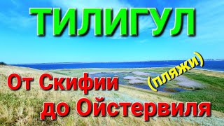 Тилигульский лиман. Отдых. Устрицы Скифии. Ойстервиль. Тилигул дикие пляжи. Красота лимана. #зоотроп