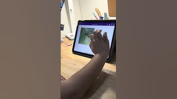 Nov.45- Whose eggs are these?