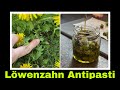 Löwenzahn Antipasti | Löwenzahnknospen würzig eingelegt | Selbstversorgung