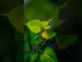 Unlock These Hidden Features on Your Phone for Photography