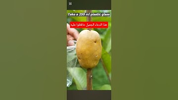 أجمل شيء القرآن الكريم وحديث رسول الله صلى الله عليه وسلم#ﷺ أكثروا الصلاة عليه  #ﷺ #صلوا_على_النبي