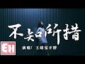 王靖雯不胖 - 不知所措『最燦爛的煙火總是先墜落，越是暖的經過反而越折磨。』【動態歌詞 Pinyin Lyrics】