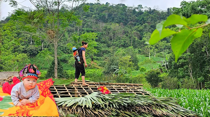 FULL VIDEO: 20-day journey to build a bamboo house after many days of wandering as a single mom