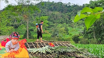 FULL VIDEO: 20-day journey to build a bamboo house after many days of wandering as a single mom