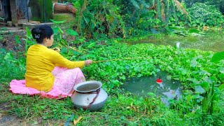 Fishing Video || You would not have believed if you had not seen many fish in the village Pond