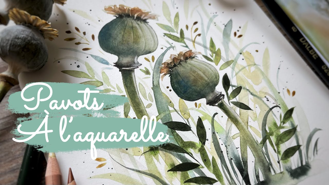 Спящие маки акварелью