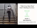 Walking Exercises for Back Pain Stair Climbing Part 2- Hip Hike Correction