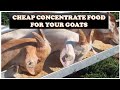 Goat Food Cheap Concentrate