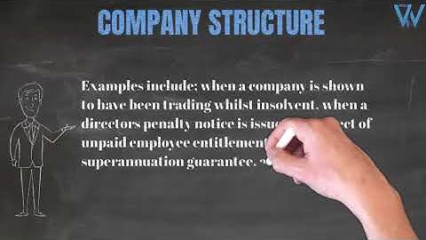 Company Business Structure Basics (Australia) - Explained In Less Than 4 Minutes.