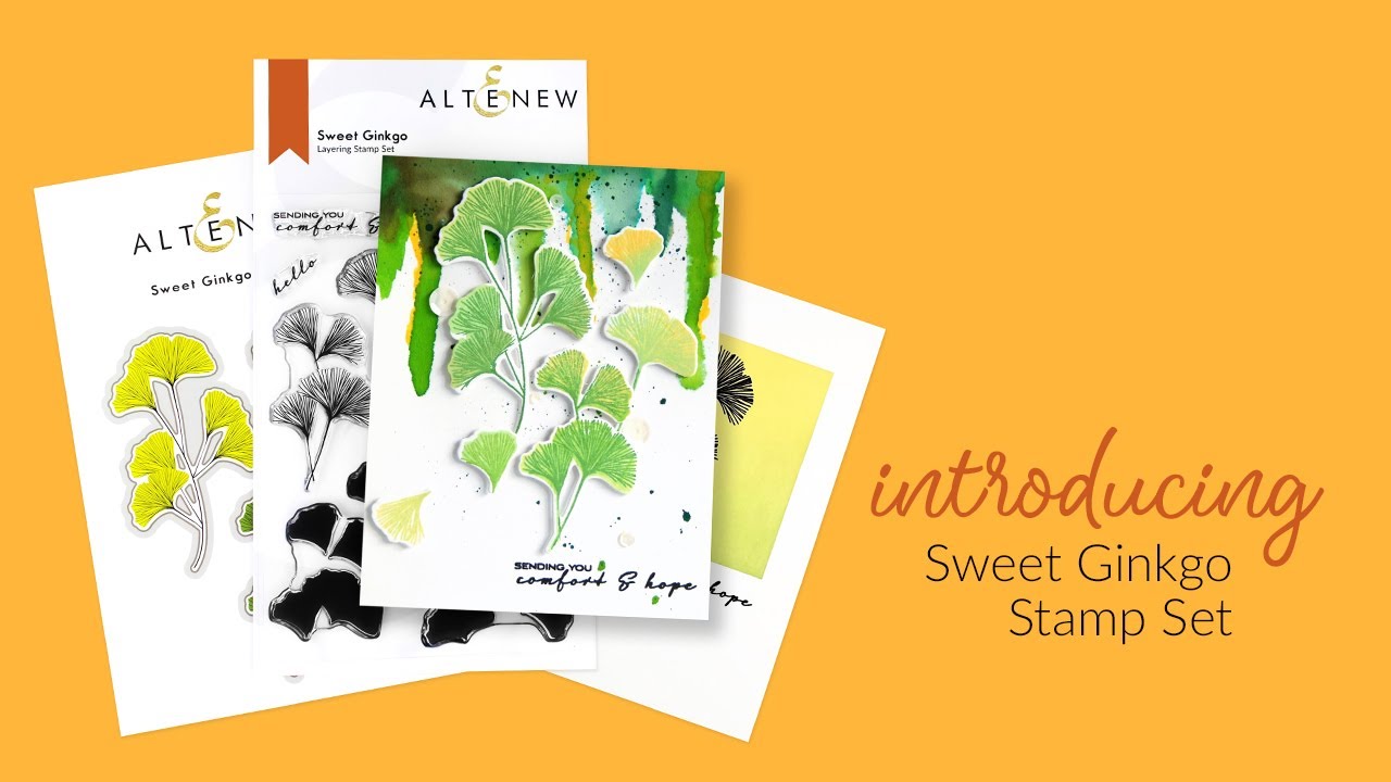 Sweet Ginkgo