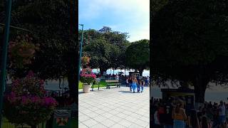 de visita por chapa, Jalisco
