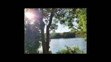 سورة "ق" تلاوة هادئة أرح سمعك 🎧🌷