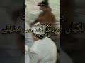 لگیاں توڑ نبھاندا مدینے والا سوہنا