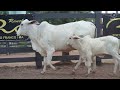 LOTE 02 - RCRC 360