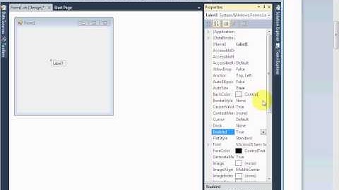 VB.NET Urdu Tutorial 21 - Label Control in Visual Basic