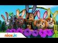 Щенячий патруль | Щенячий патруль спасает шоу фокусов | Nick Jr. Cyrillic