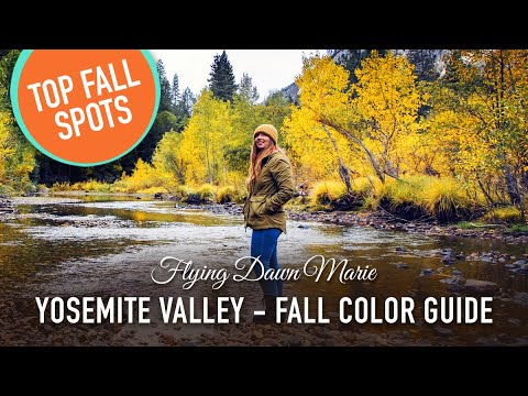 Video: I posti migliori per vedere il fogliame autunnale in California