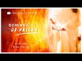 #Pascua | Domingo III de Pascua | Misa en vivo ✝️