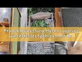 Produktbewertung Hecht zooprinz winterfestes Igelhaus mit Boden und wetterfestem Dach - Igelfutterha
