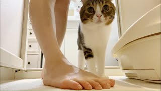 おトイレを掃除されて心配する親子猫が可愛い！
