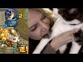 モンスト 英雄の神殿は猫でもクリアできるのか