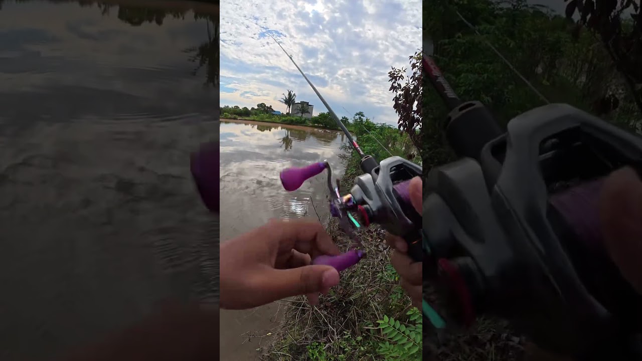 Gabus kocolan sambar soft frog 5cm mocel