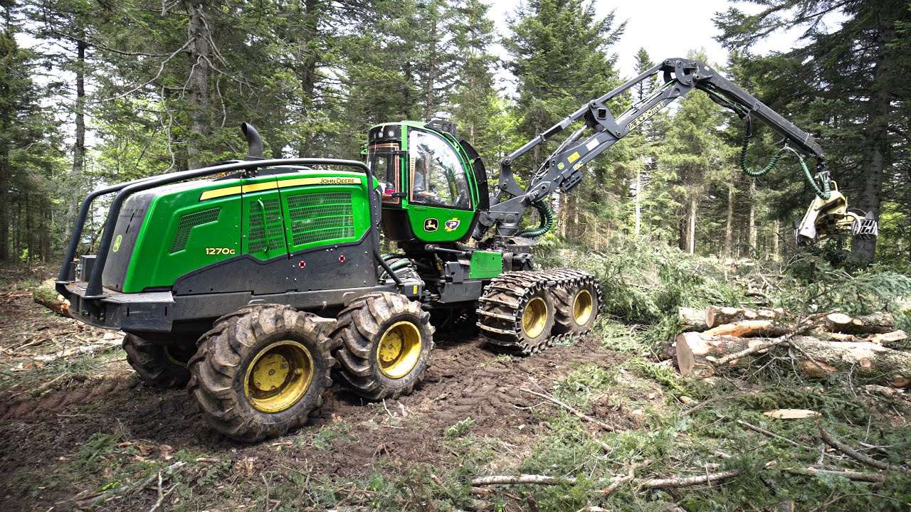 ABATTAGE FORESTIER en France ! 100% JOHN DEERE | PORTEUR & ABATTEUSE | ALLIANCE