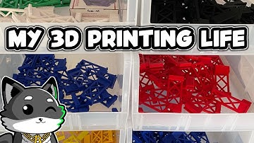 My Weekly Life 3D Printing GPU Hangers