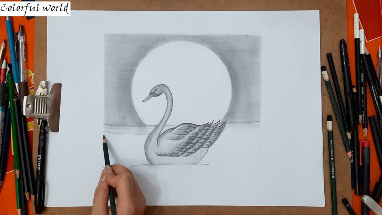 How to draw a Swan Swimming in Water step by step  Duck Pencil Sketch for Beginners