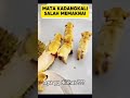 Mata Kadangkali Salah Memaknai 😊