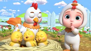 mommy chick where are you baby chicks pio pio farm animals